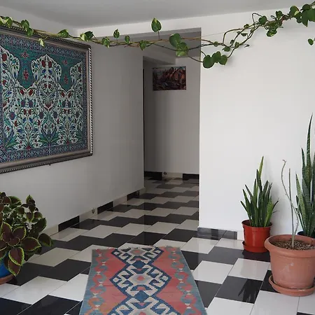 オズバイ ゲストハウス パムッカレ